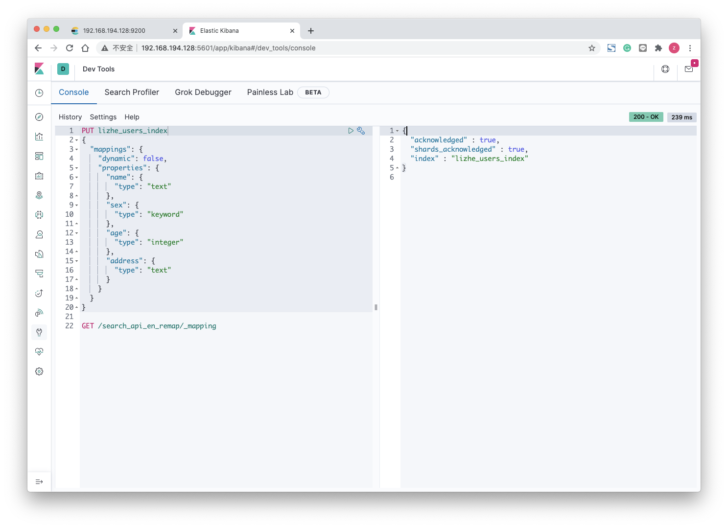 Elasticsearch Mapping